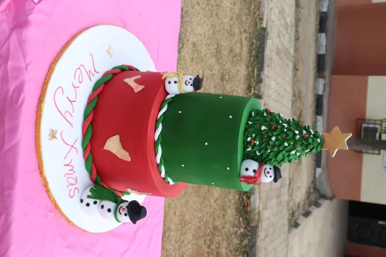 IMG_6331-queensdreamsinitiative-queensdreamsinitiative